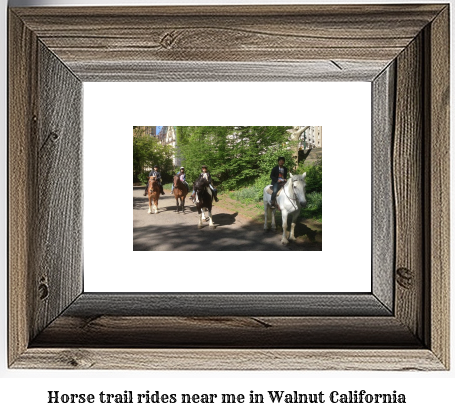 horse trail rides near me in Walnut, California